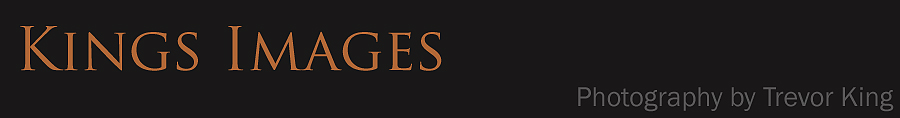 Kings Images